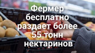 Верховный суд ограничил миграционные инициативы Трампа. Фермер бесплатно раздает более 55 тонн нектаринов. Минюст США оспорил запреты на оружие в Вирджинии и Калифорнии. Верховный суд ограничил миграционные инициативы Трампа. Фермер бесплатно раздает более 55 тонн нектаринов. Минюст США оспорил запреты на оружие в Вирджинии и Калифорнии.