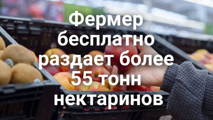 Верховный суд ограничил миграционные инициативы Трампа. Фермер бесплатно раздает более 55 тонн нектаринов. Минюст США оспорил запреты на оружие в Вирджинии и Калифорнии. Верховный суд ограничил миграционные инициативы Трампа. Фермер бесплатно раздает более 55 тонн нектаринов. Минюст США оспорил запреты на оружие в Вирджинии и Калифорнии.