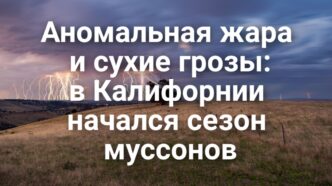 спровоцировал ДТП. Аномальная жара и сухие грозы: в Калифорнии начался сезон муссонов.