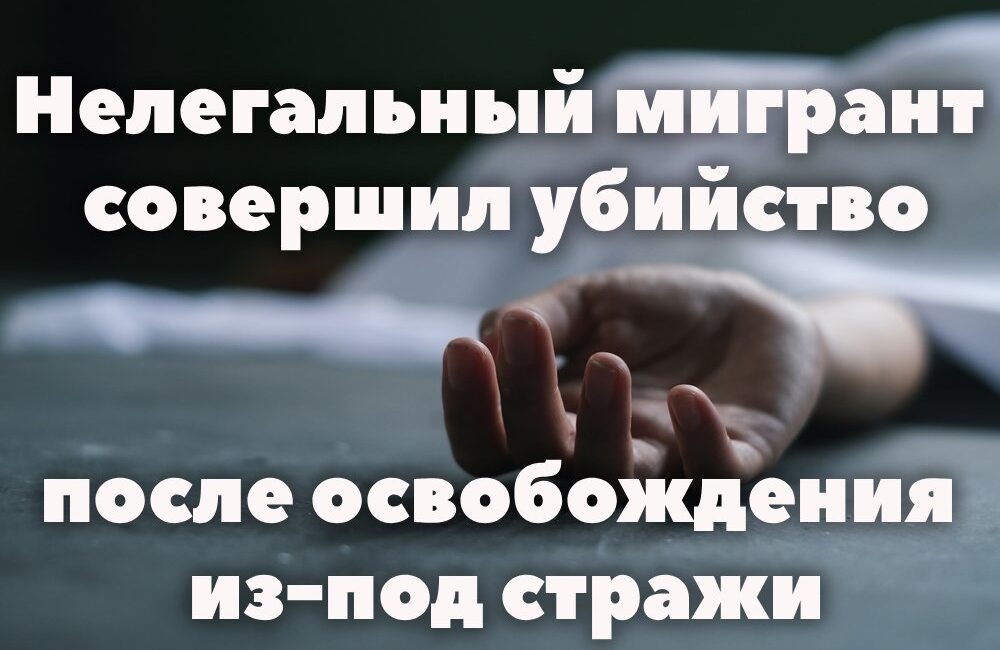 Семья из Южной Калифорнии обнаружила жильца в подвале своего дома. Суррогатная мать родила ребёнка с пороком сердца вопреки воле родителей. Нелегальный мигрант совершил убийство. Семья из Южной Калифорнии обнаружила жильца в подвале своего дома. Суррогатная мать родила ребёнка с пороком сердца вопреки воле родителей. Нелегальный мигрант совершил убийство.