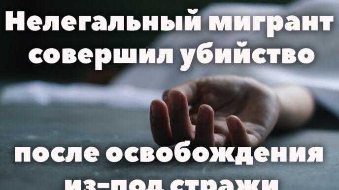 Семья из Южной Калифорнии обнаружила жильца в подвале своего дома. Суррогатная мать родила ребёнка с пороком сердца вопреки воле родителей. Нелегальный мигрант совершил убийство. Семья из Южной Калифорнии обнаружила жильца в подвале своего дома. Суррогатная мать родила ребёнка с пороком сердца вопреки воле родителей. Нелегальный мигрант совершил убийство.