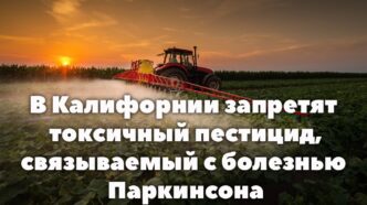 Рост температуры океана вызвал всплеск нападений скатов в Южной Калифорнии. В Калифорнии запретят токсичный пестицид, связываемый с болезнью Паркинсона. Число арестов иммигрантов азиатского происхождения выросло в 10 раз. Рост температуры океана вызвал всплеск нападений скатов в Южной Калифорнии. В Калифорнии запретят токсичный пестицид, связываемый с болезнью Паркинсона. Число арестов иммигрантов азиатского происхождения выросло в 10 раз.
