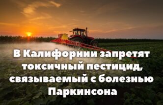 Рост температуры океана вызвал всплеск нападений скатов в Южной Калифорнии. В Калифорнии запретят токсичный пестицид, связываемый с болезнью Паркинсона. Число арестов иммигрантов азиатского происхождения выросло в 10 раз.