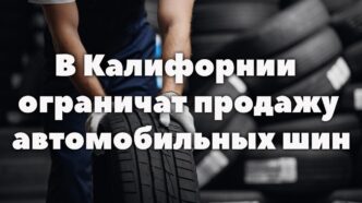 В Калифорнии ограничат продажу автомобильных шин. Подросток признал вину в нападении на морского льва. Четыре штата США требуют от Meta компенсацию в $1.4 триллиона.