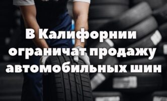 В Калифорнии ограничат продажу автомобильных шин. Подросток признал вину в нападении на морского льва. Четыре штата США требуют от Meta компенсацию в $1.4 триллиона.