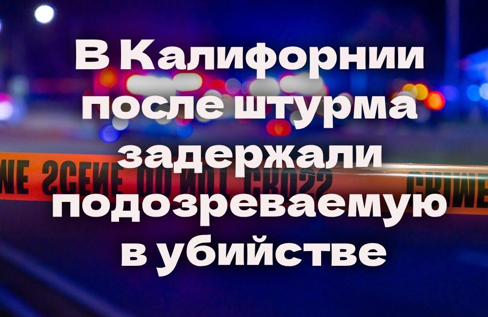 Полиция Сакраменто расследует серию краж со взломом. В Калифорнии после осады задержали подозреваемую в убийстве. Токсичные водоросли вызвали мор морских львов. Полиция Сакраменто расследует серию краж со взломом. В Калифорнии после осады задержали подозреваемую в убийстве. Токсичные водоросли вызвали мор морских львов.