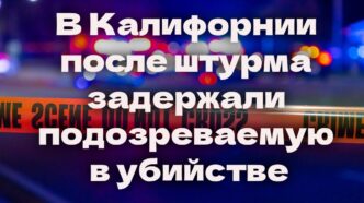 Полиция Сакраменто расследует серию краж со взломом. В Калифорнии после осады задержали подозреваемую в убийстве. Токсичные водоросли вызвали мор морских львов. Полиция Сакраменто расследует серию краж со взломом. В Калифорнии после осады задержали подозреваемую в убийстве. Токсичные водоросли вызвали мор морских львов.