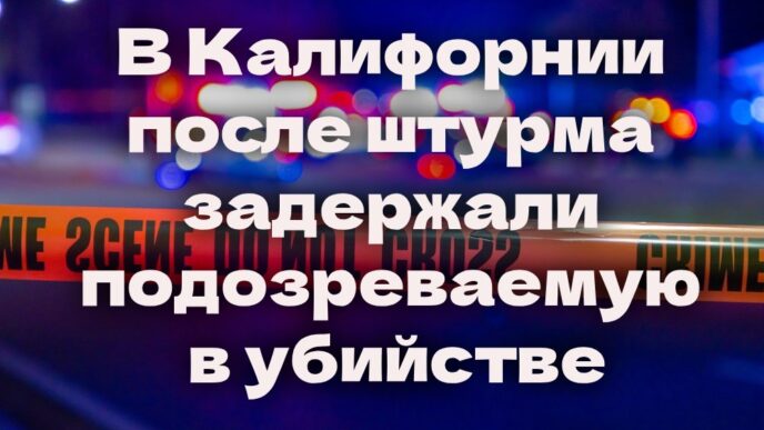 Полиция Сакраменто расследует серию краж со взломом. В Калифорнии после осады задержали подозреваемую в убийстве. Токсичные водоросли вызвали мор морских львов. Полиция Сакраменто расследует серию краж со взломом. В Калифорнии после осады задержали подозреваемую в убийстве. Токсичные водоросли вызвали мор морских львов.