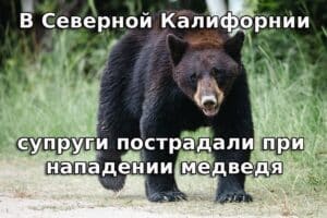 В Северной Калифорнии супруги пострадали при нападении медведя. Сакраменто планирует продать участок, приобретенный за $12 миллионов. У побережья Калифорнии потерпел крушение истребитель.