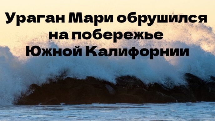 В Сакраменто мужчина застрелил женщину и покончил с собой. В Сакраменто водитель сгорел заживо во время аварии. Ураган «Мари» принес трехметровые волны на побережье Южной Калифорнии. В Сакраменто мужчина застрелил женщину и покончил с собой. В Сакраменто водитель сгорел заживо во время аварии. Ураган «Мари» принес трехметровые волны на побережье Южной Калифорнии.