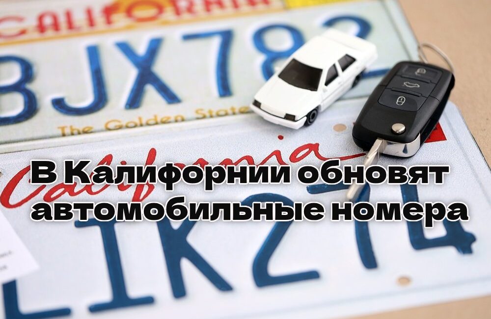 В Калифорнии обновят формат автомобильных номеров. Возле Сан-Франциско обнаружен зуб мастодонта. Жители Северной Калифорнии могут остаться без электричества. В Калифорнии обновят формат автомобильных номеров. Возле Сан-Франциско обнаружен зуб мастодонта. Жители Северной Калифорнии могут остаться без электричества.