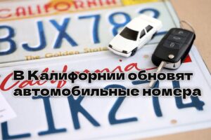 В Калифорнии обновят формат автомобильных номеров. Возле Сан-Франциско обнаружен зуб мастодонта. Жители Северной Калифорнии могут остаться без электричества.