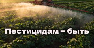 Стали известны подробности трагедии возле Panera Bread. Цены на дизельное топливо в Калифорнии побили рекорд. Лоббисты добились смягчения законопроекта об ограничении пестицидов.